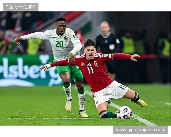 日韩世界杯：赛事组织与东亚地区足球推广的成功经验