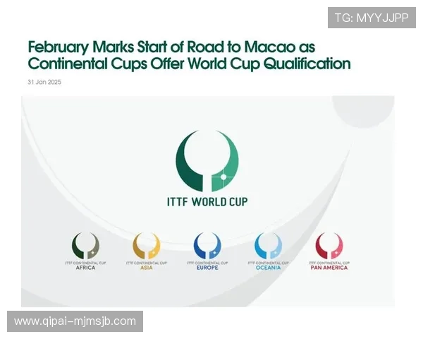 世界杯首个跨国联合举办的赛事背后，推动国际合作与文化交流的新机遇