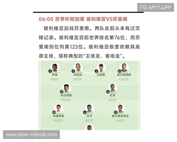 世界杯南美洲区预选赛比分最新动态，详细分析各队比赛结果与赛程安排