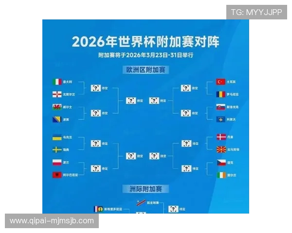 2026年世界杯瑞典对阵突尼斯比赛分析与中国球迷的关注点解读