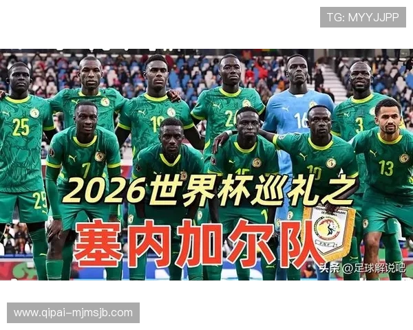 世界杯法国塞内加尔现场看球安全须知及应急措施全攻略保障你的观赛顺利进行 世界杯法国塞内加尔现场看球安全须知及应急措施全攻略保障你的观赛顺利进行